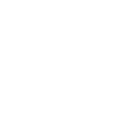 Academia Internacional de Cinema