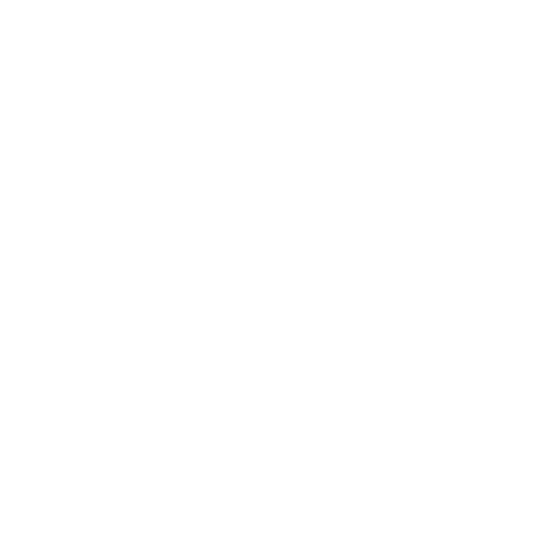 Walt Disney World Company